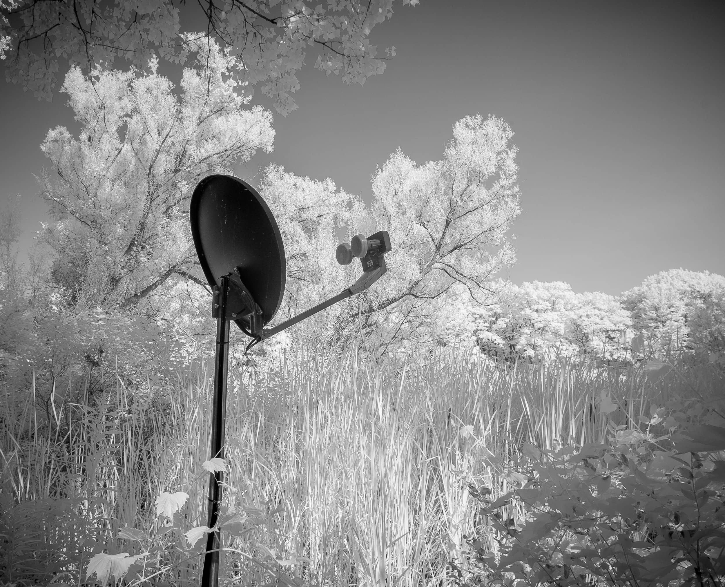 Wetlands Hunter