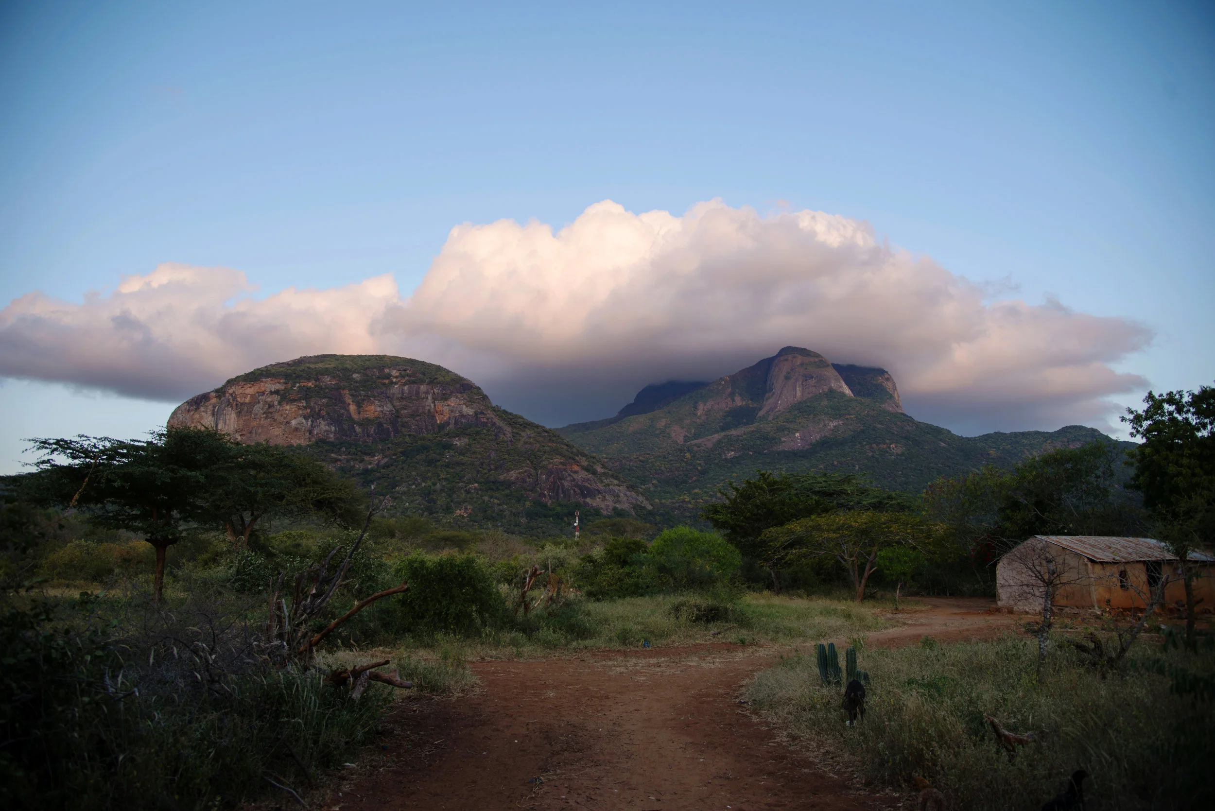  The view of the mountain that overlooks Kasigau from the camp where students in the Partners in Caring: Medicine in Kenya stayed in the summer of 2016. 