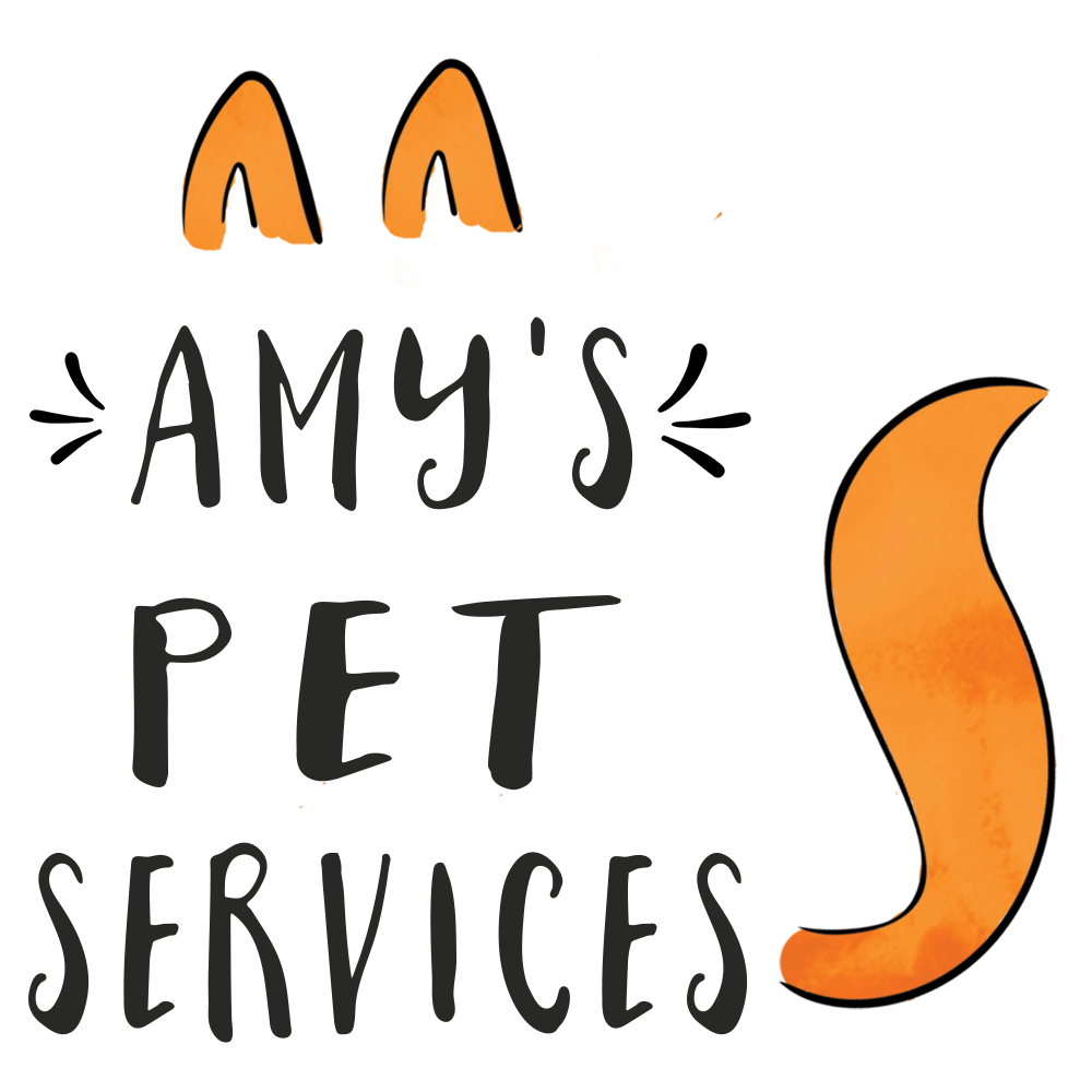 Amy's Pet Services