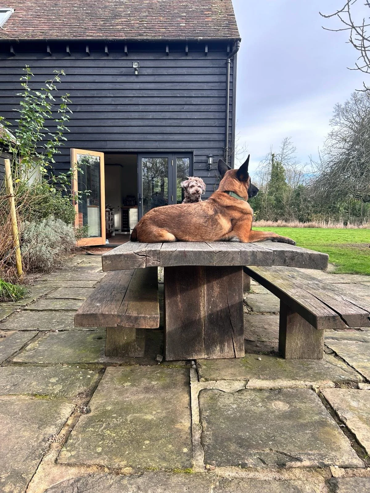 ZANE, BIZZIE + MADDIE