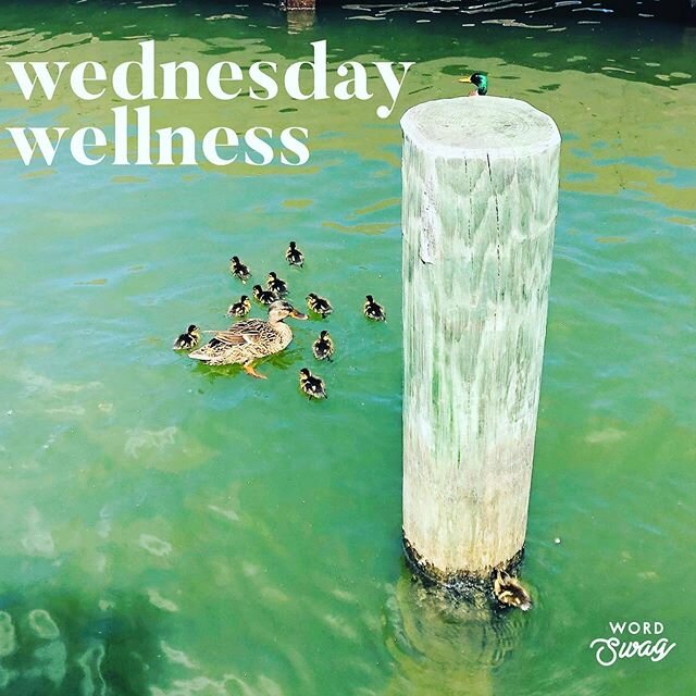 🦆Wednesday Wellness🦆
In the midst of it all, there is still new lives coming into this world; seeing no interruption or change. It&rsquo;s the small things right now that put it all in perspective. Notice the little things if you&rsquo;re able to g
