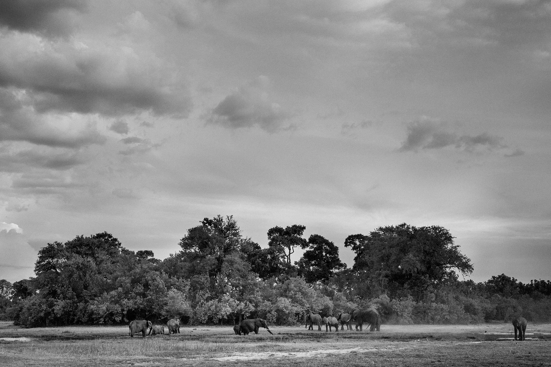 2018JDP_Botswana-43.jpg