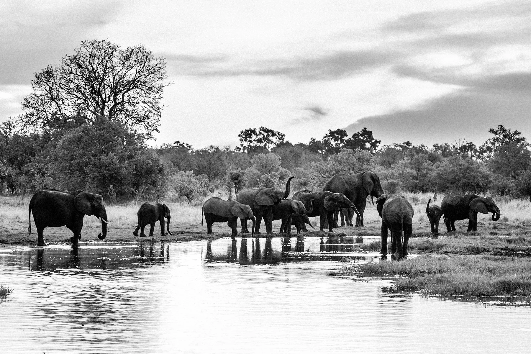 2018JDP_Botswana-44.jpg