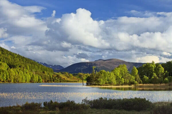 Loch Pityoulish by Visit Scotland.jpeg