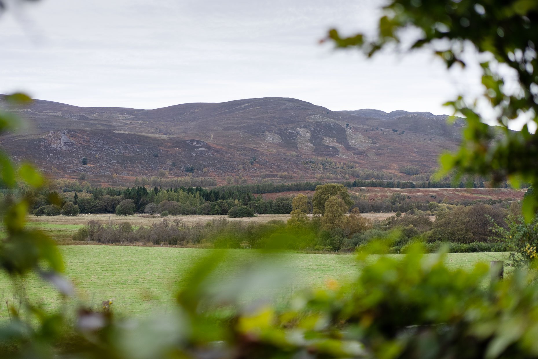 View from Hillview Cottage