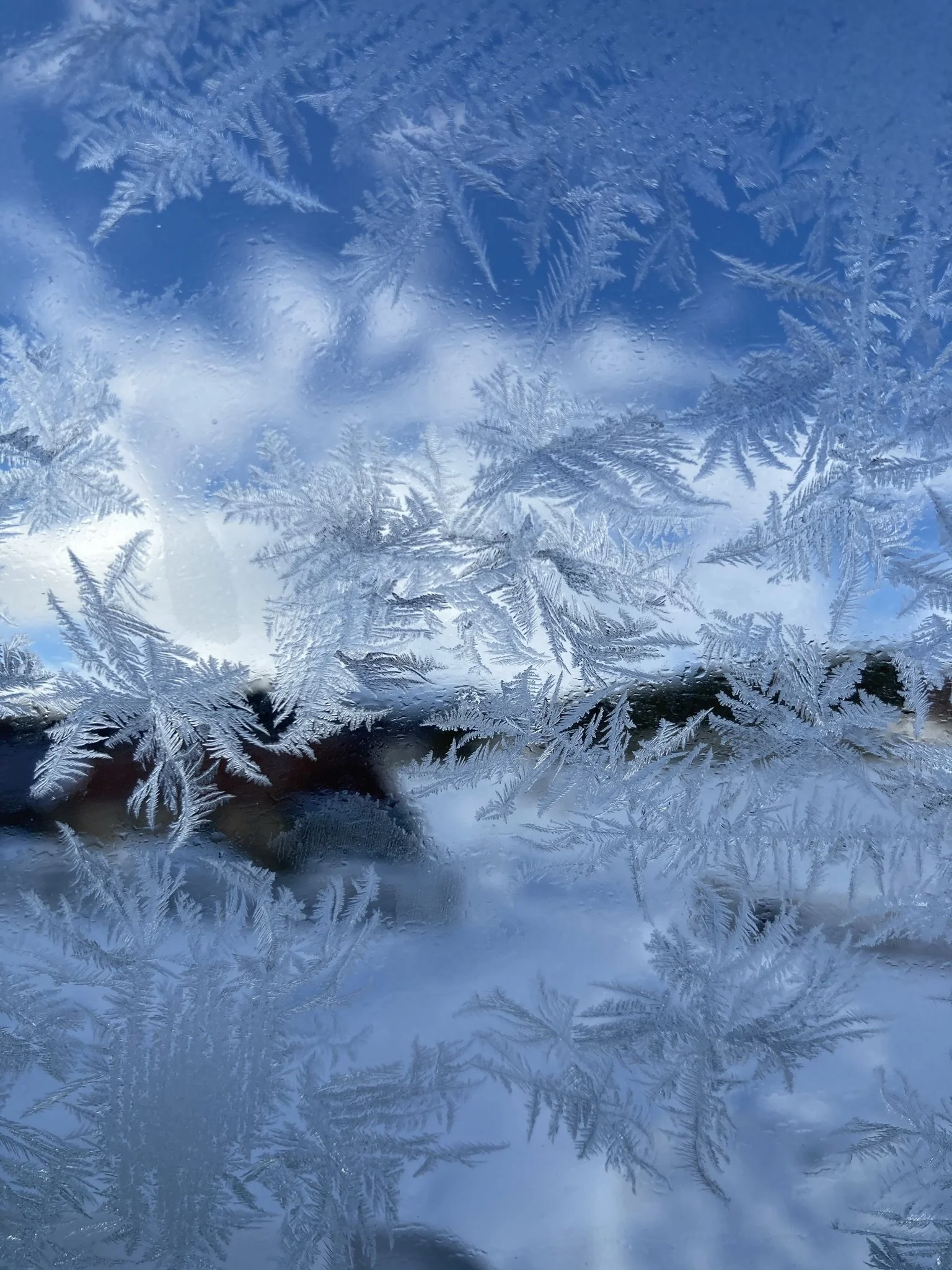 Banner image - ZB.JPEG