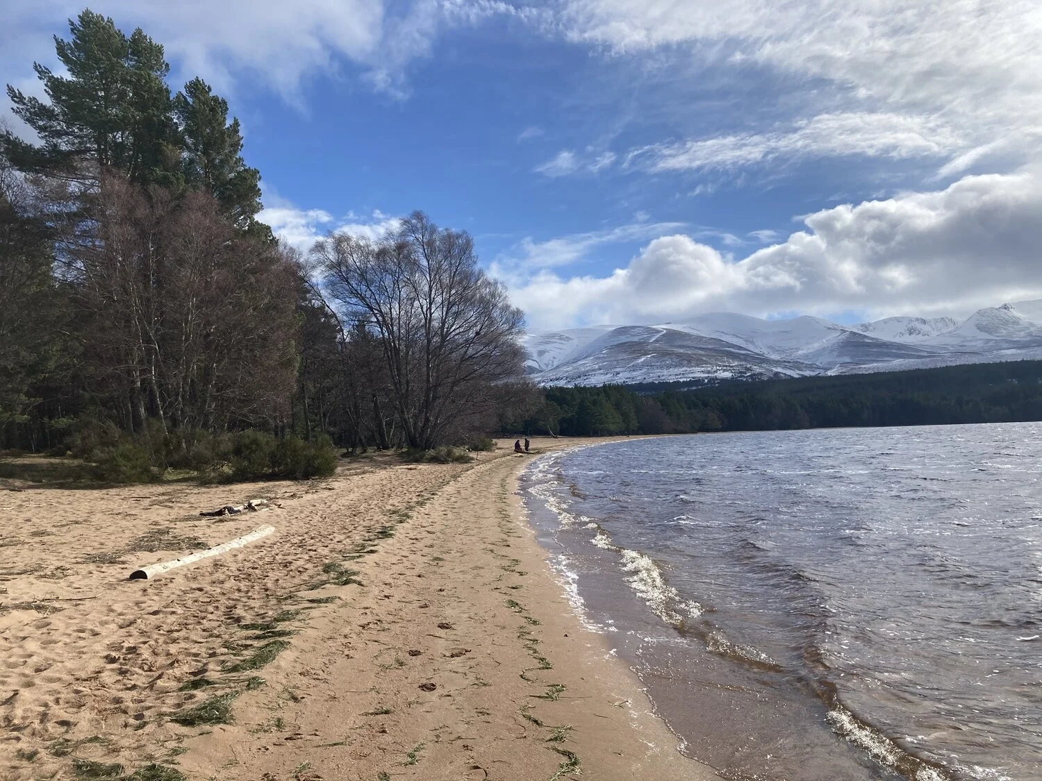Loch Morlich beach, Glenmore, Cairngorms National Park