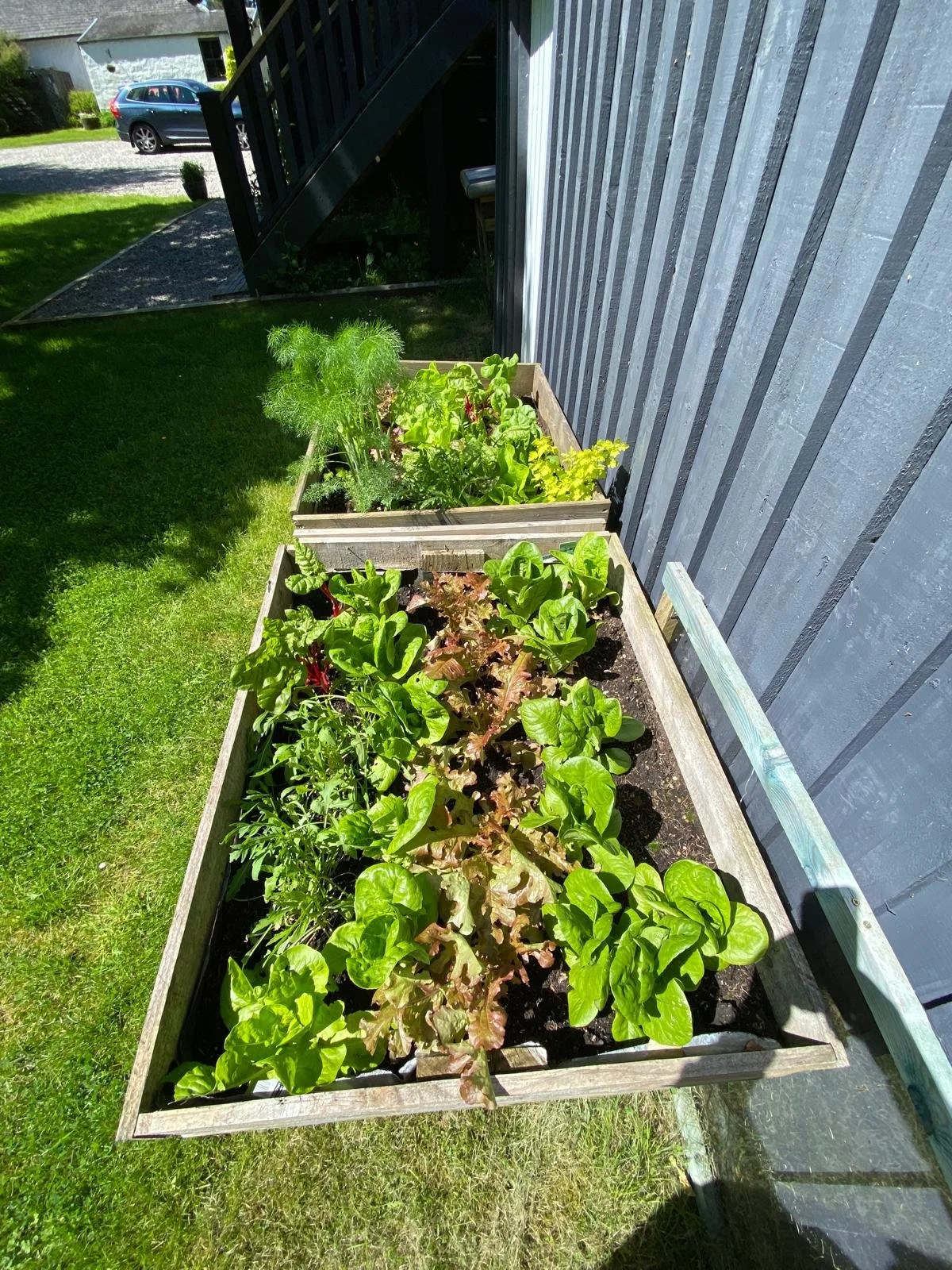 Herb planter beside The Hayloft, adding fresh greenery to the cottage garden.
