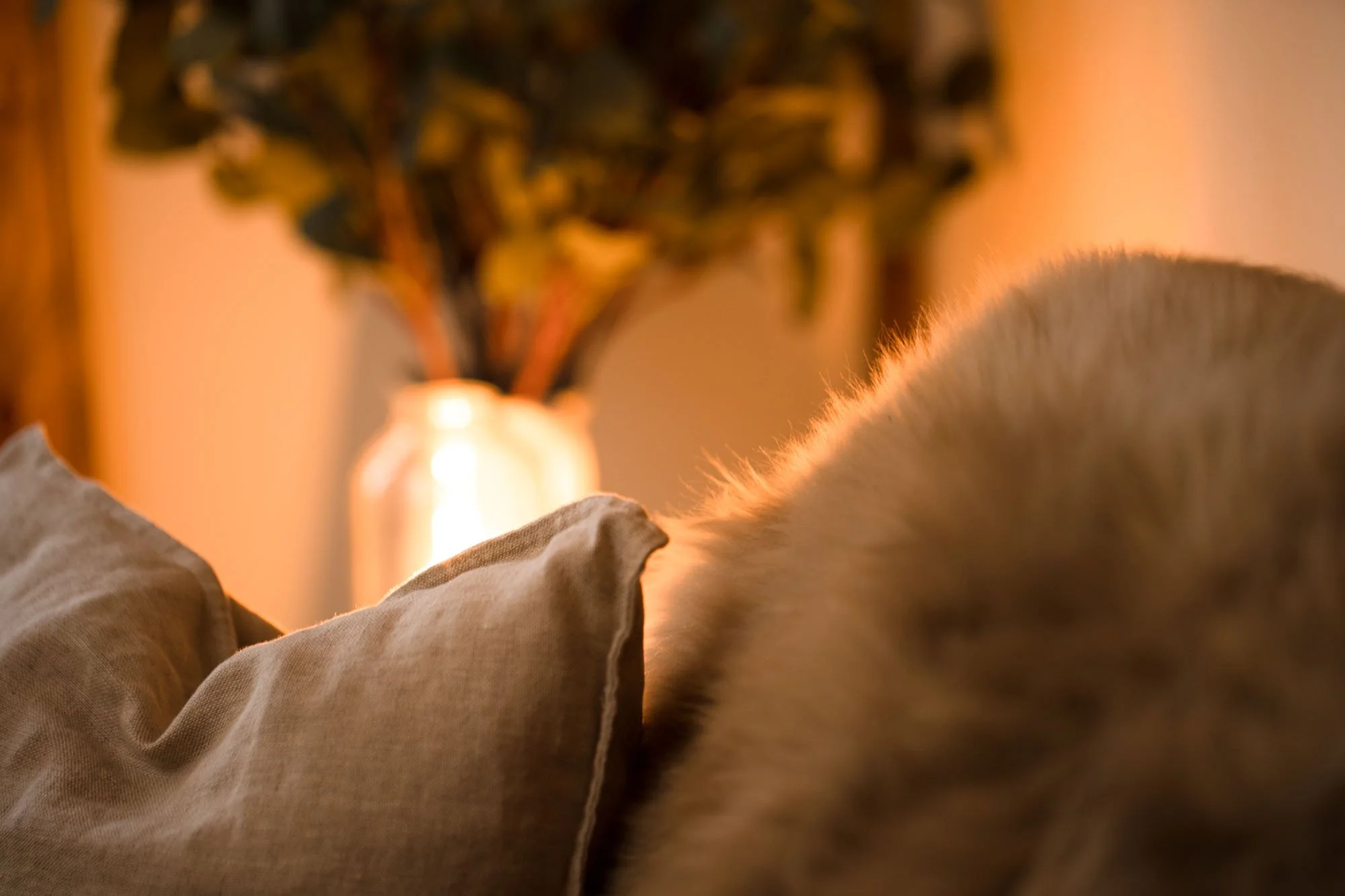 Cosy interior detail at The Hayloft with soft furnishings and warm ambient lighting.