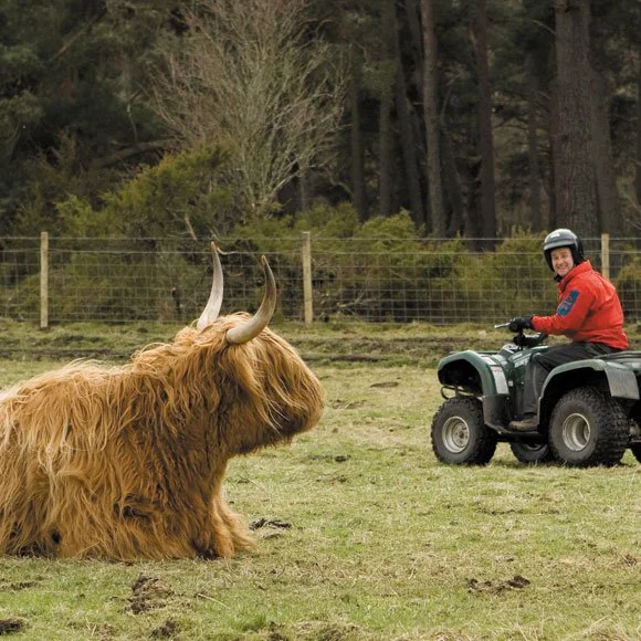 3 Rothie Park Explore: Rothiemurchus and Alvie Estates — LOVE CAIRNGORMS