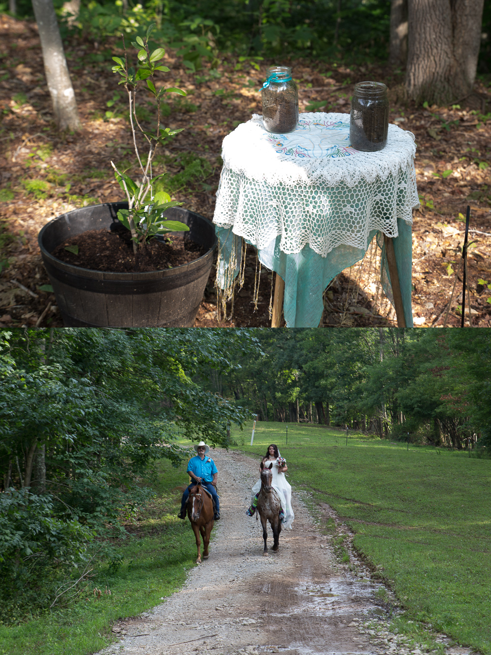 Cyndi is a horse lover and had to incorporate her two beautiful horses into her wedding, and it was awesome. 