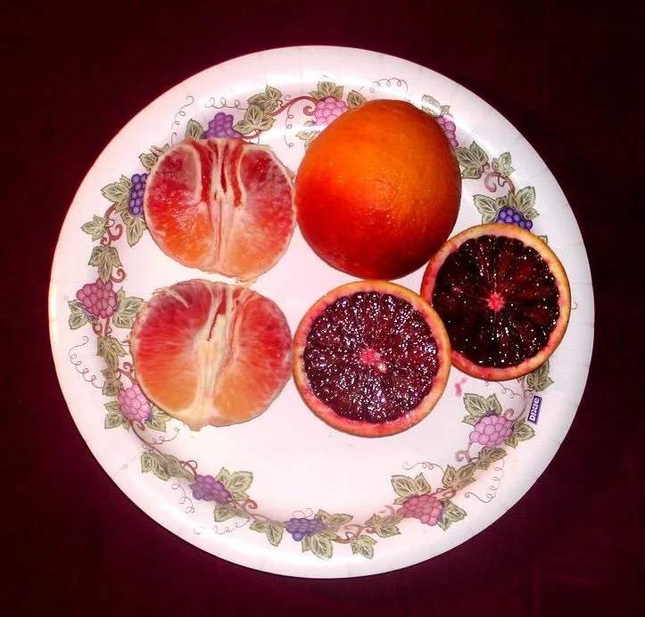 Blood_oranges.jpg