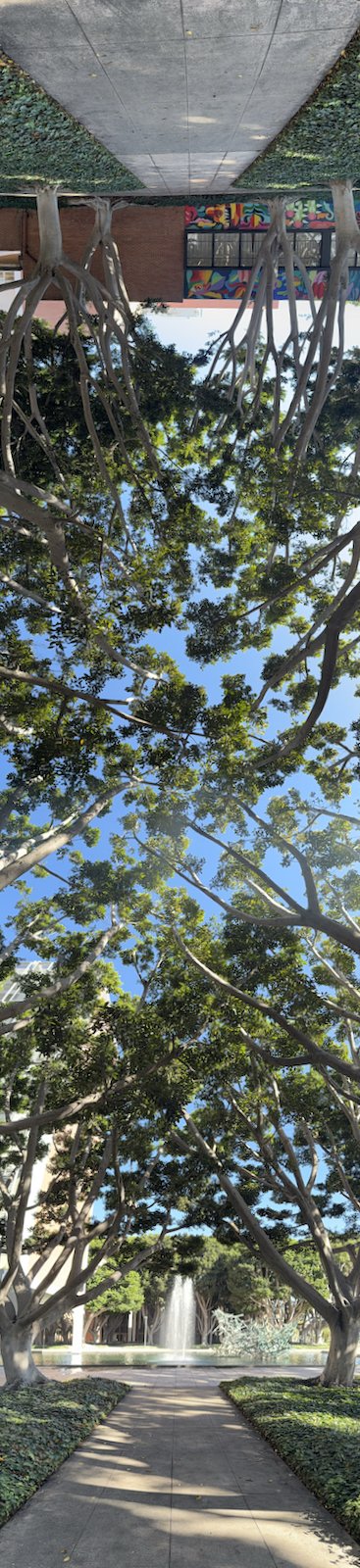 CSULB Inception Pano 176
