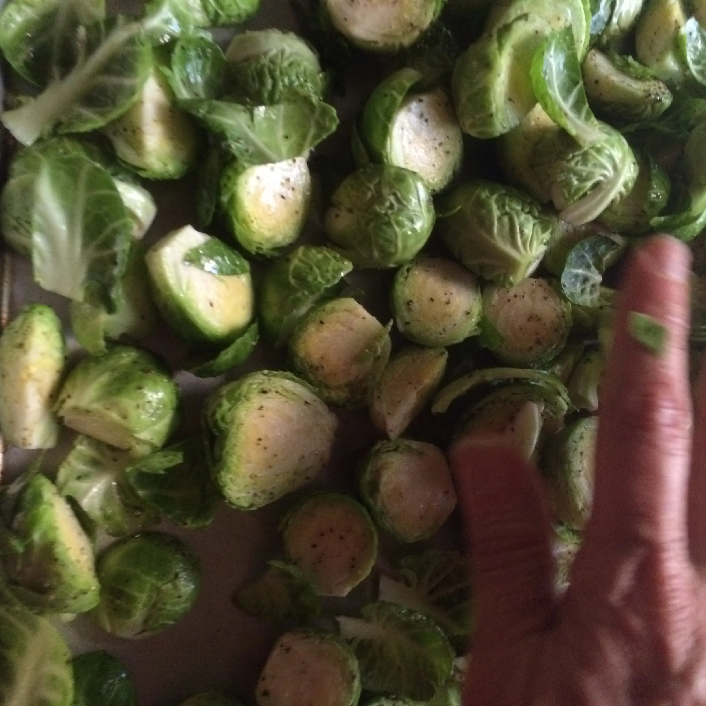    spreading brussel sprouts evenly on tray...   