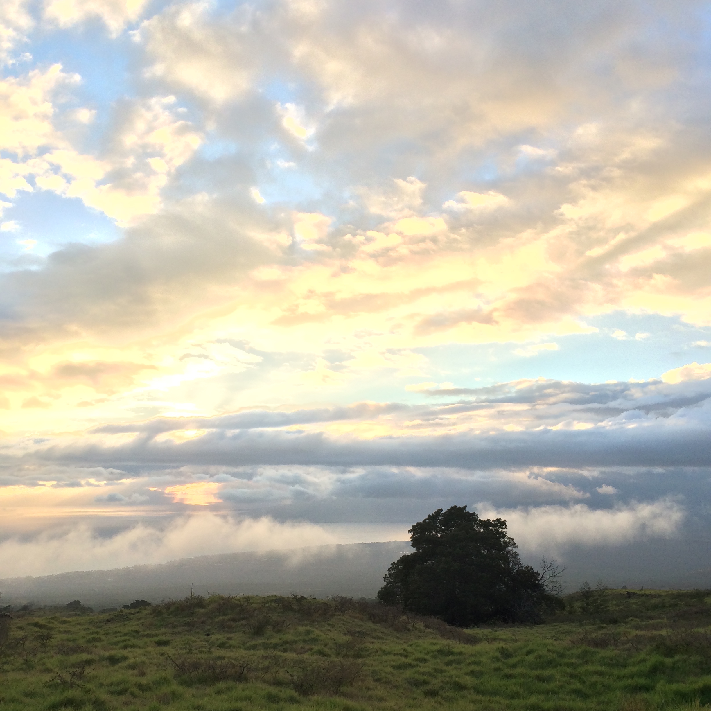 Meditation.CloudyHill.jpg