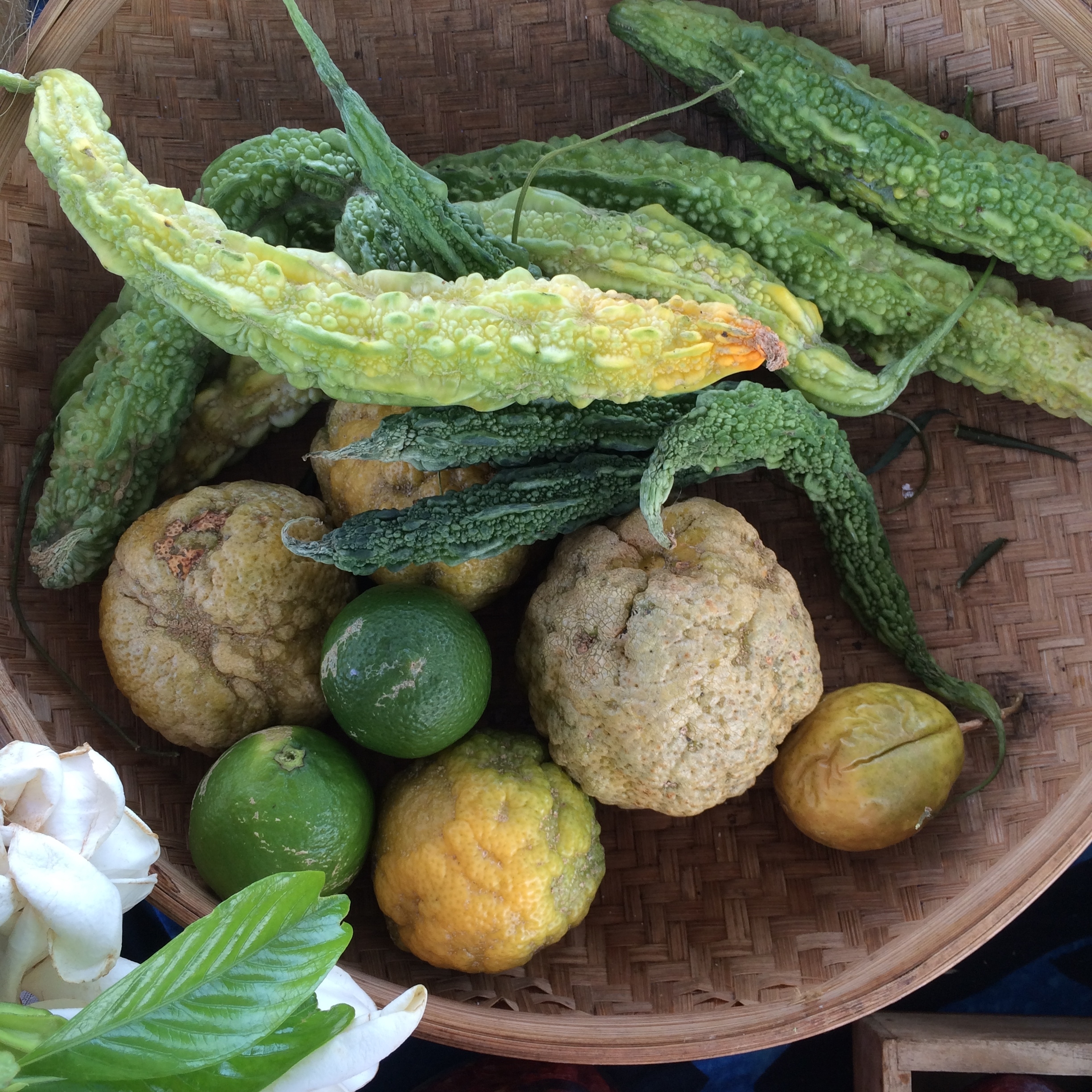 Welcome.WrinklyCucumbersInBowl.jpg