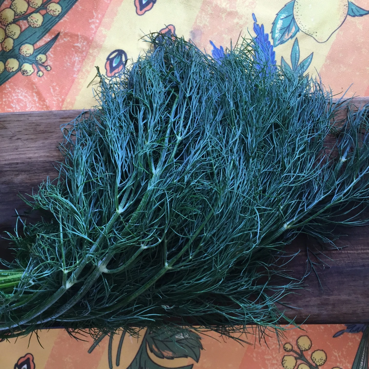    fresh dill...   