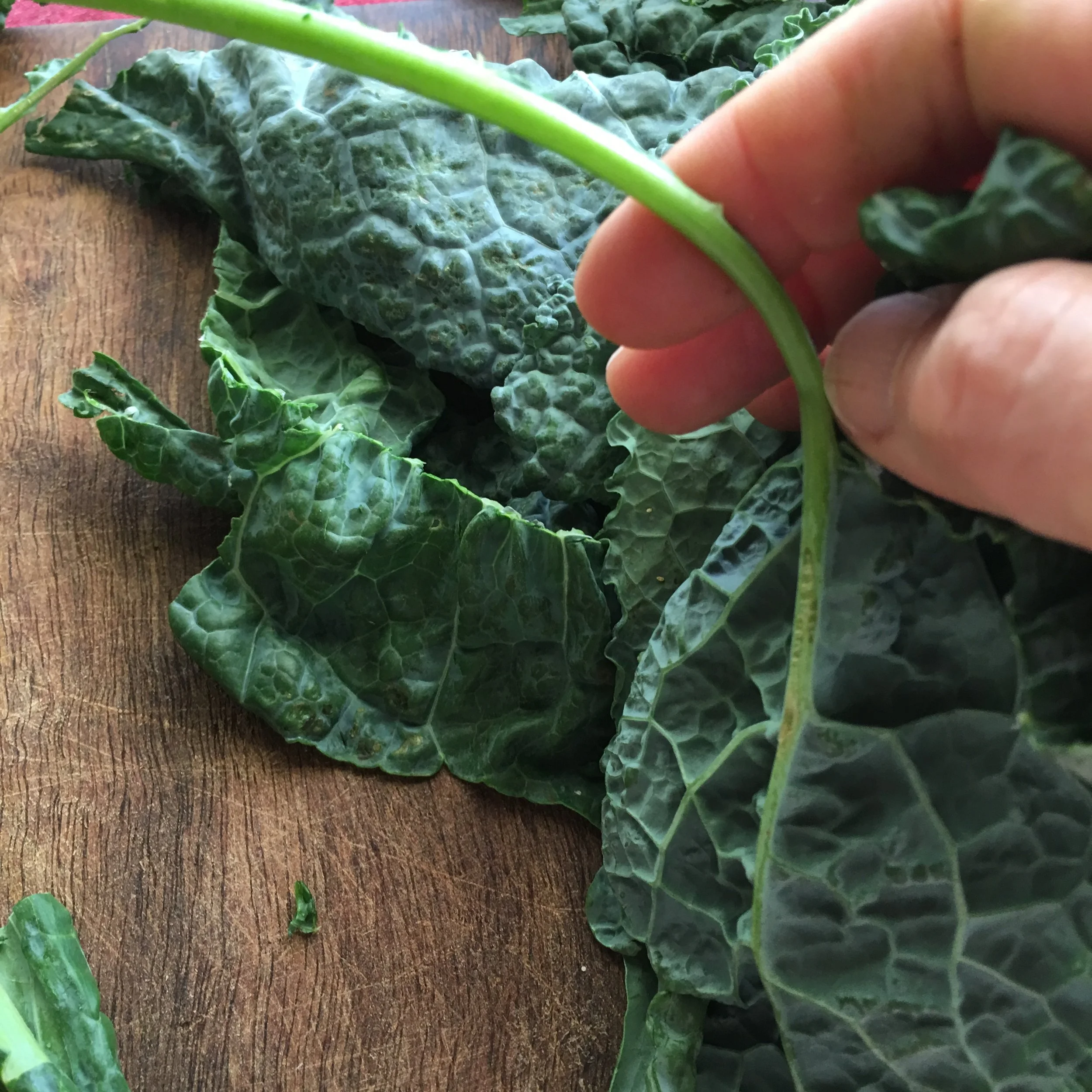    removing the kale leaf from the main stem...   
