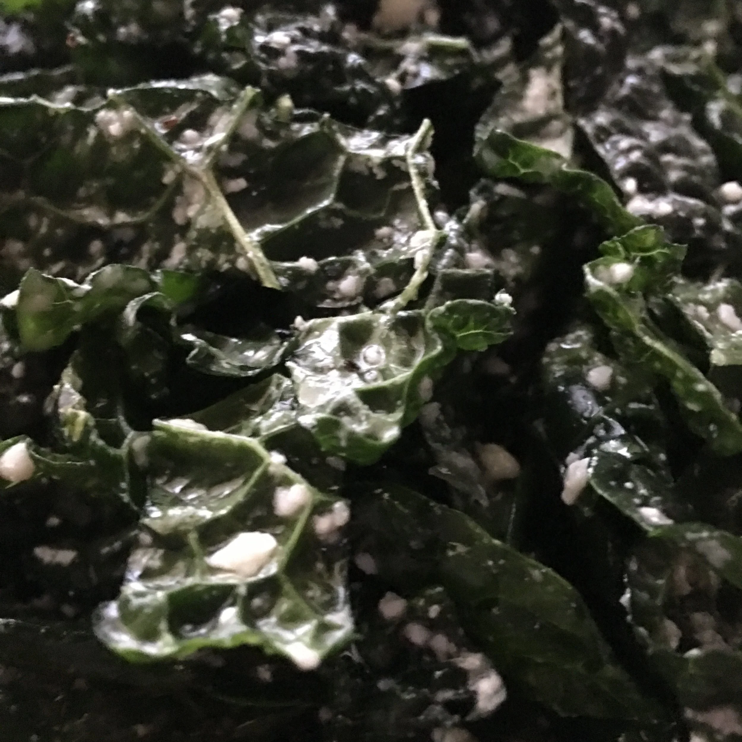    Kale Caesar salad...   