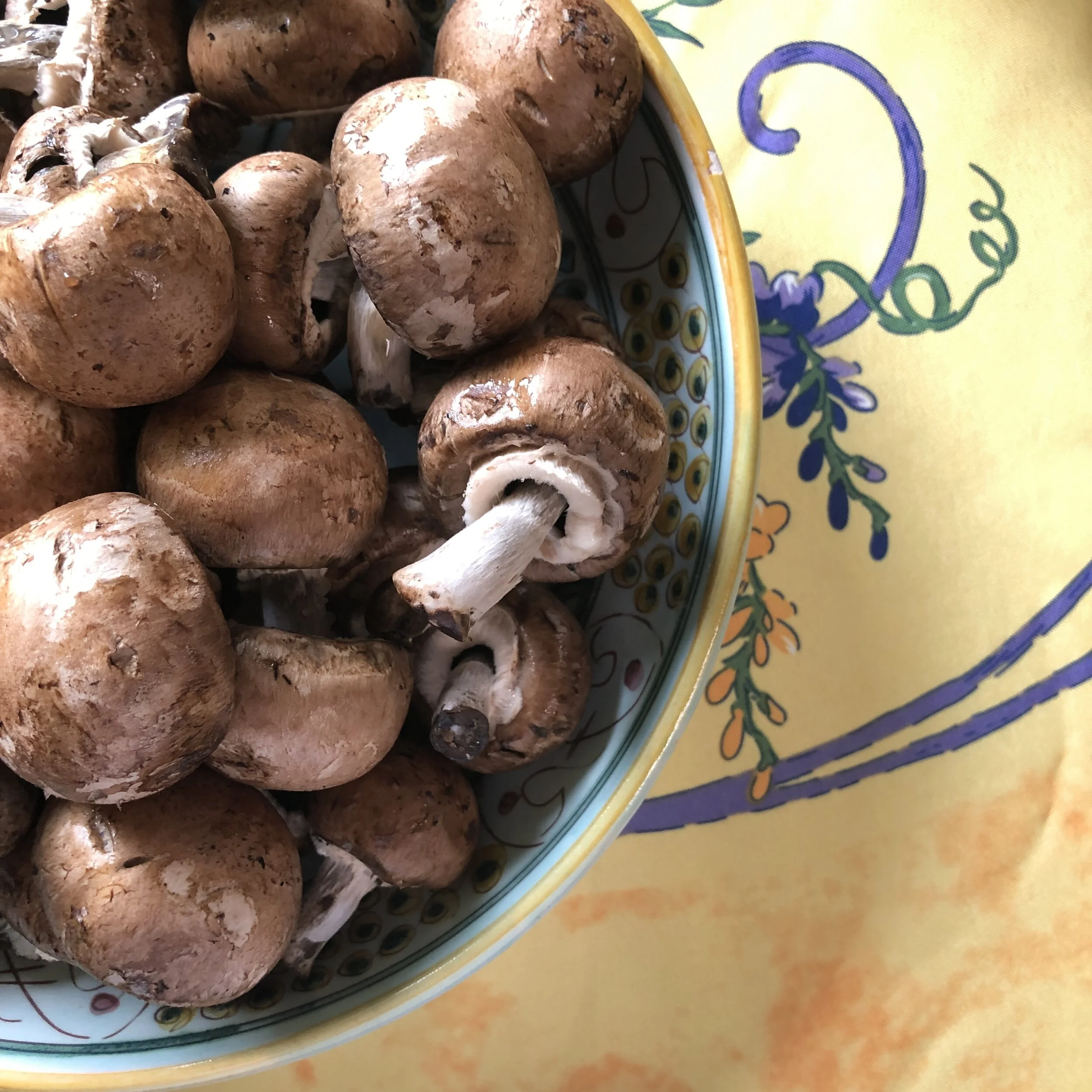    a bowl full of mushrooms…   