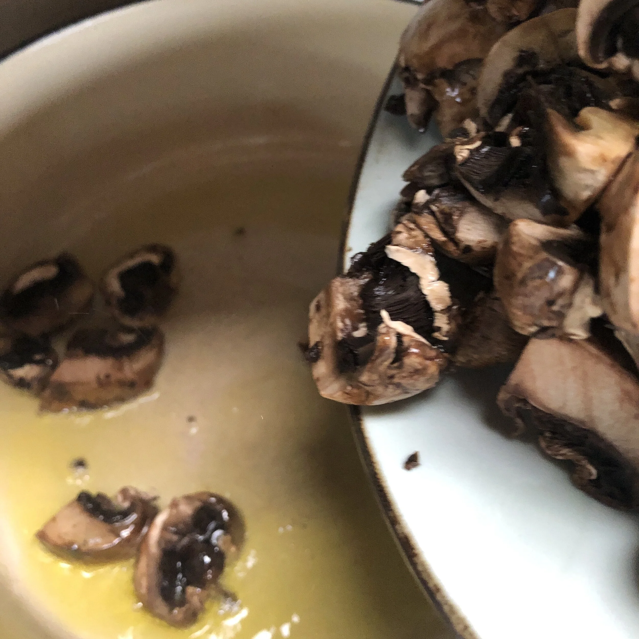    adding chopped mushrooms to the olive oil…   