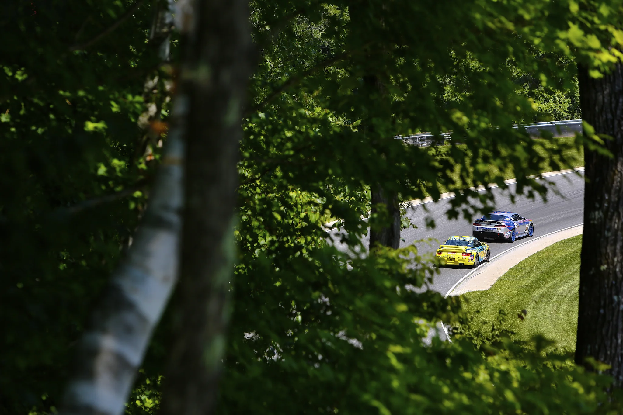 Snakes. Ticks. Wins.