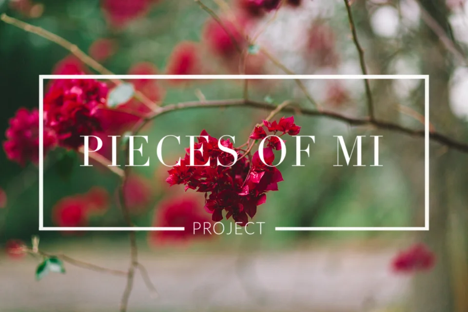 [Pieces of Mi #6]