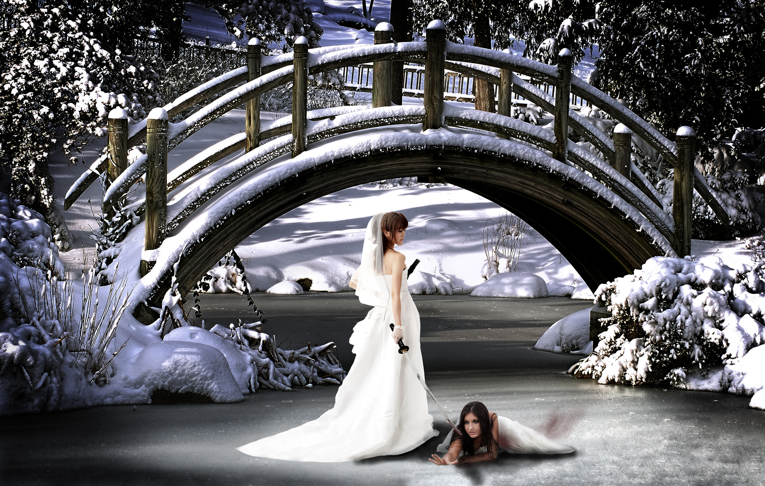 Japanesse Brideg and Katana Bride Edit Final Blood.jpg