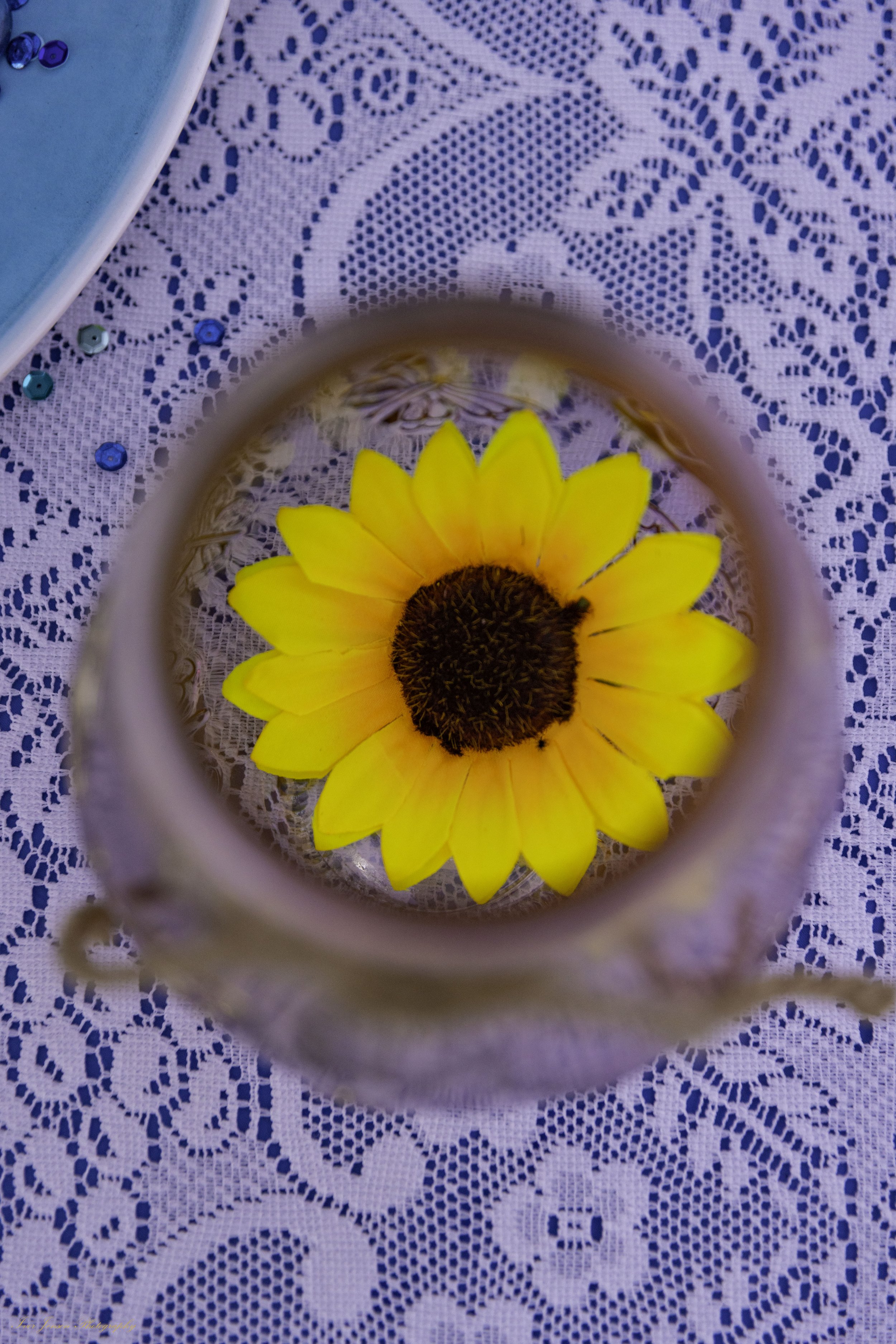 Top Down Sunflower-Edit.jpg