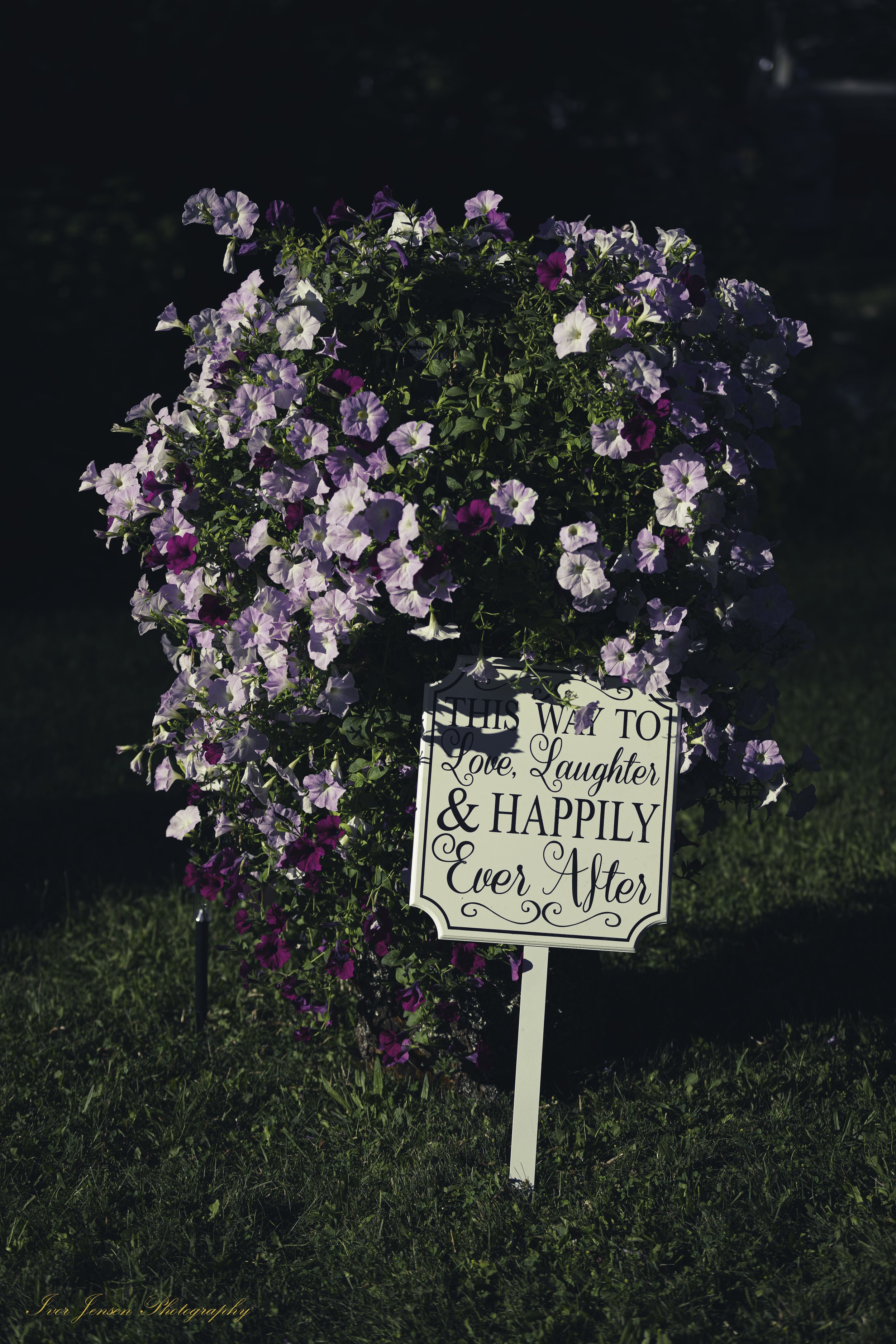 This Way to Happiness Sign-Edit.jpg