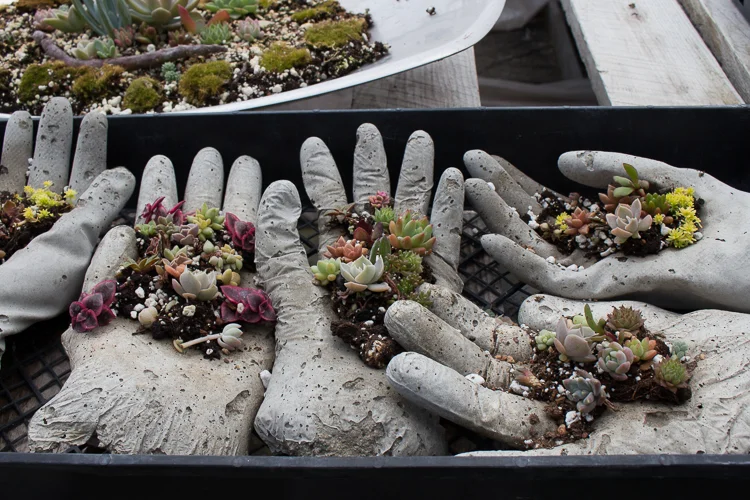 Hypertufa hands.jpg