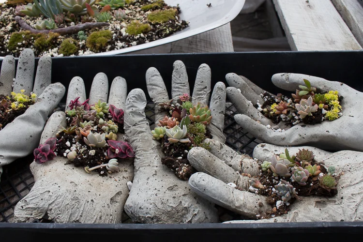 Hypertufa Hands