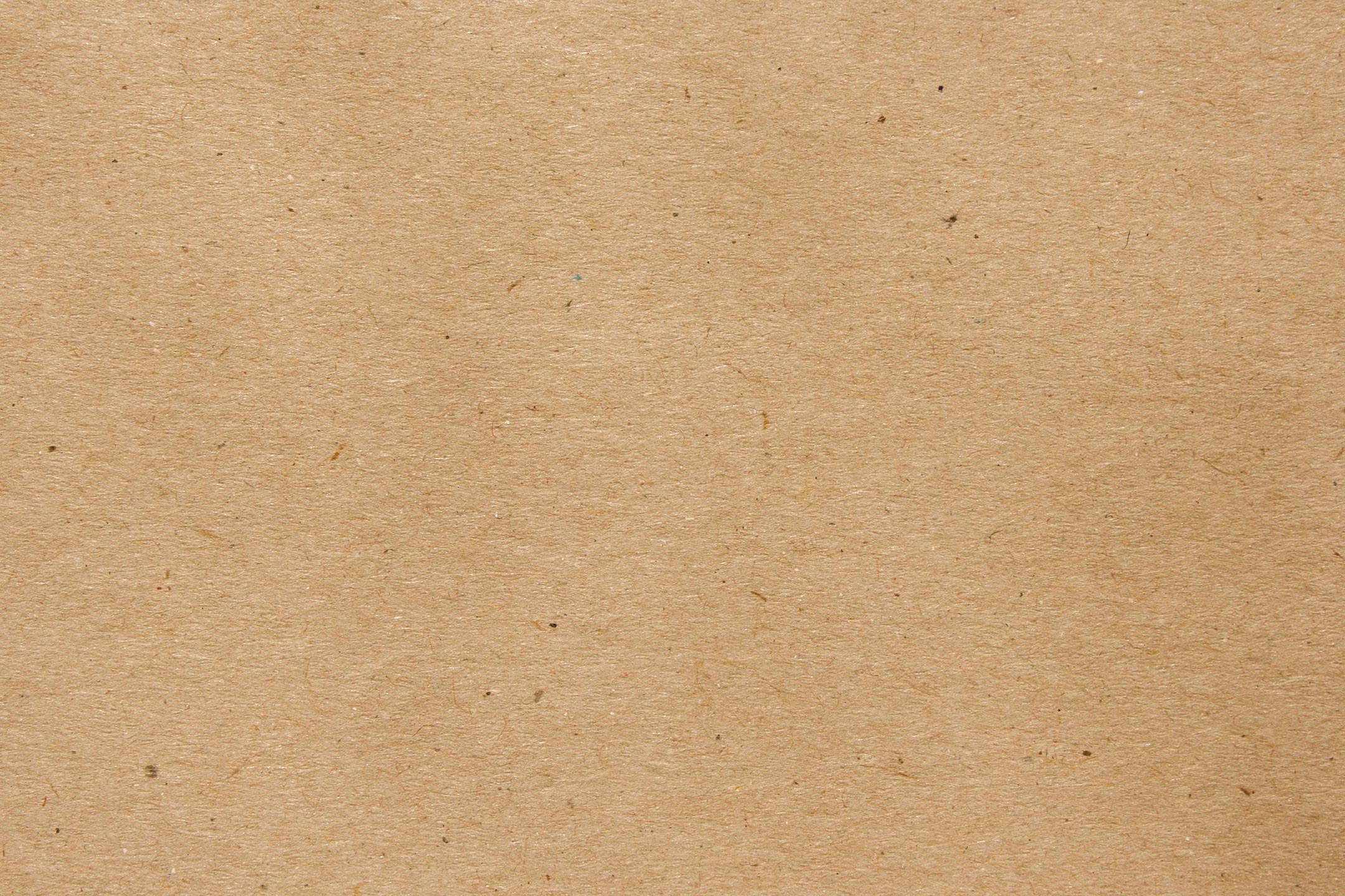 light-brown-tan-paper-texture-with-flecks_SMALLER.jpg