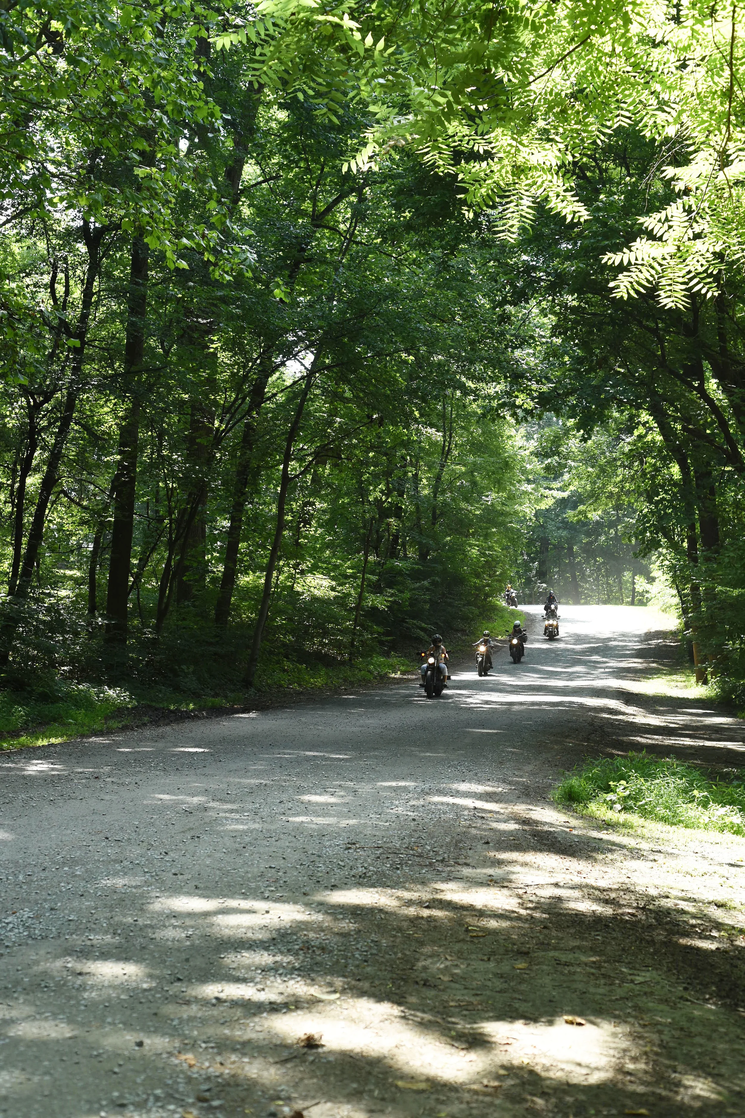 6a.jpg
