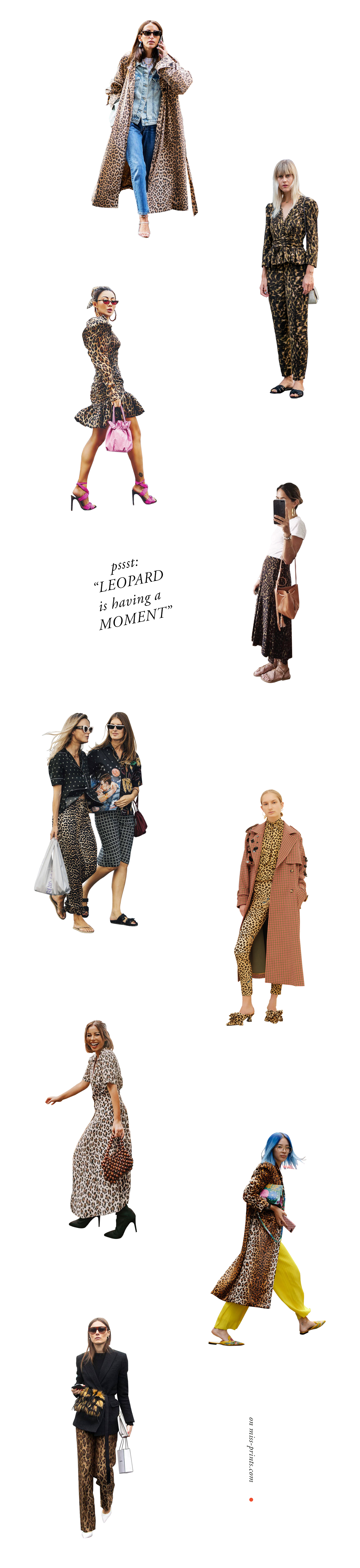 leopard-is-having-a-moment.png