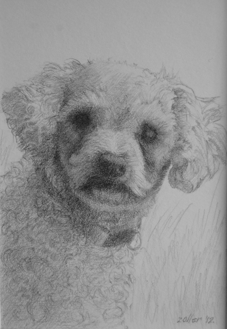 Buddy