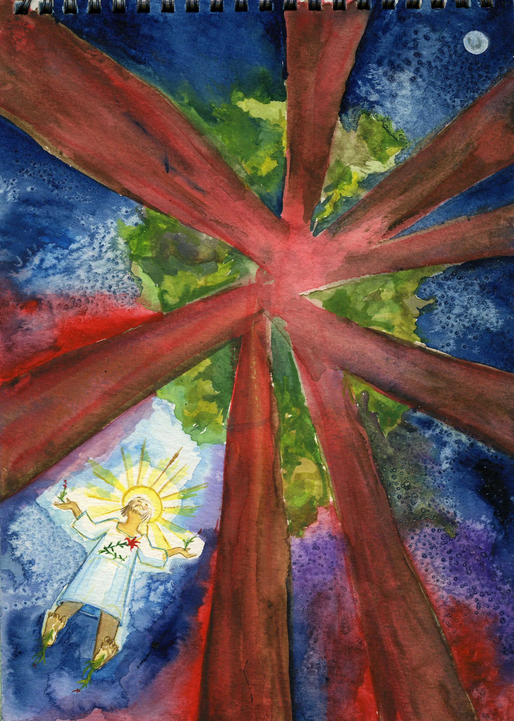November 7, 2003 "Jesus Ascending in the Redwood Forest"