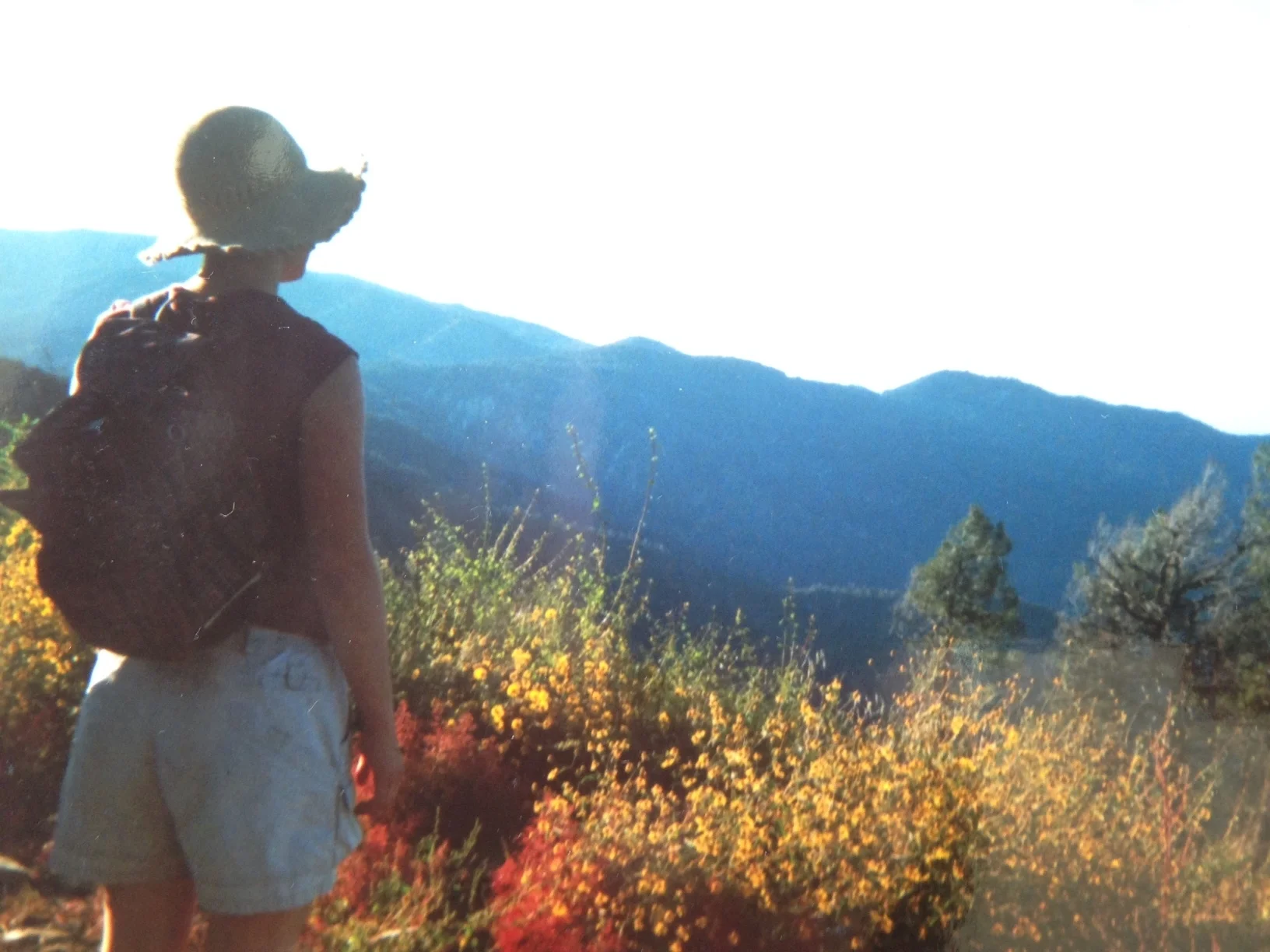 I stand at the top of a mountain, contemplating the possibilities of life. This is one of only a very few photographs from my trip. I didn't take a camera or a phone, only a sketchbook and some paints.