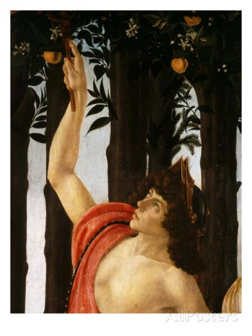 The figure of Mercury may have been modeled after Lorenzo di Pierfrancesco de' Medici's cousin, Giuliano.