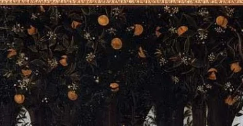 Orange trees planted all around a glamorous housing development outside of L.A.