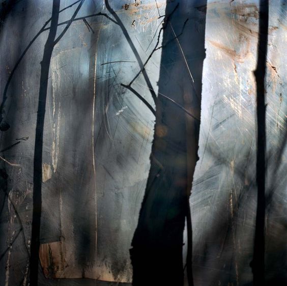"The Forest" by Krista Steinke