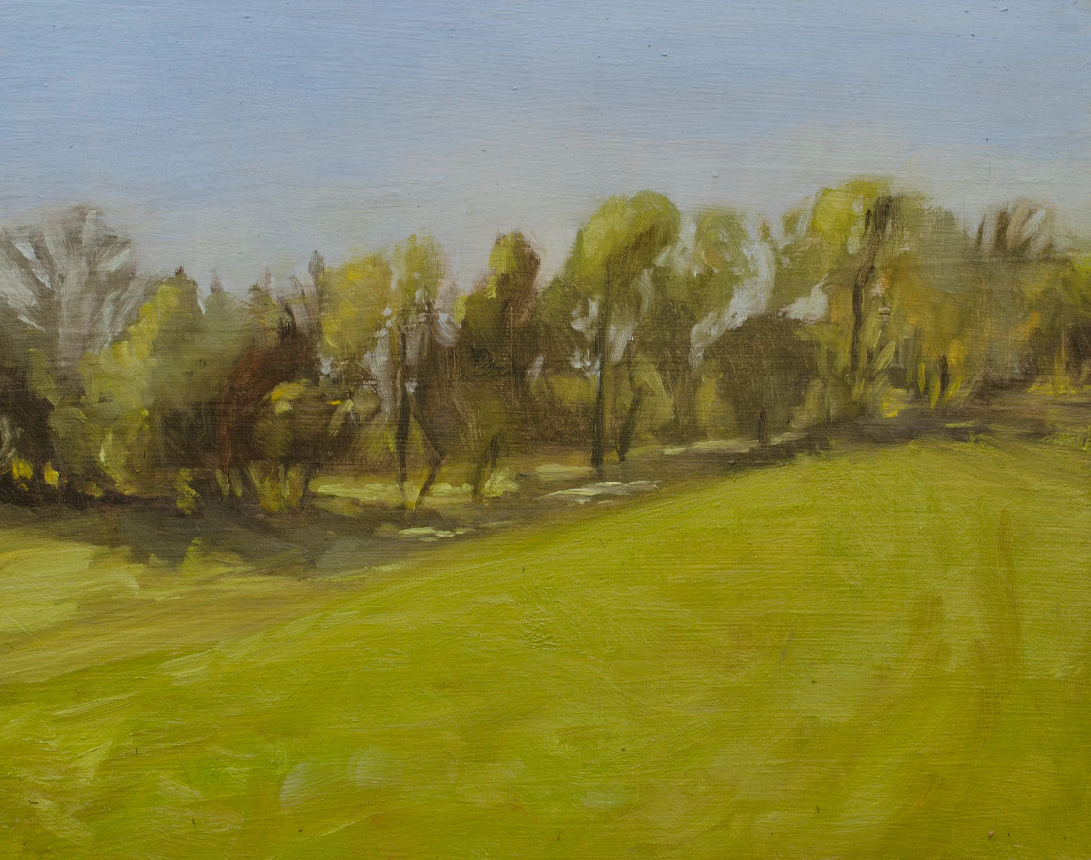"Afternoon sunlight" oil on board, 8x10" October 2016 (painted on day 2 of my workshop)