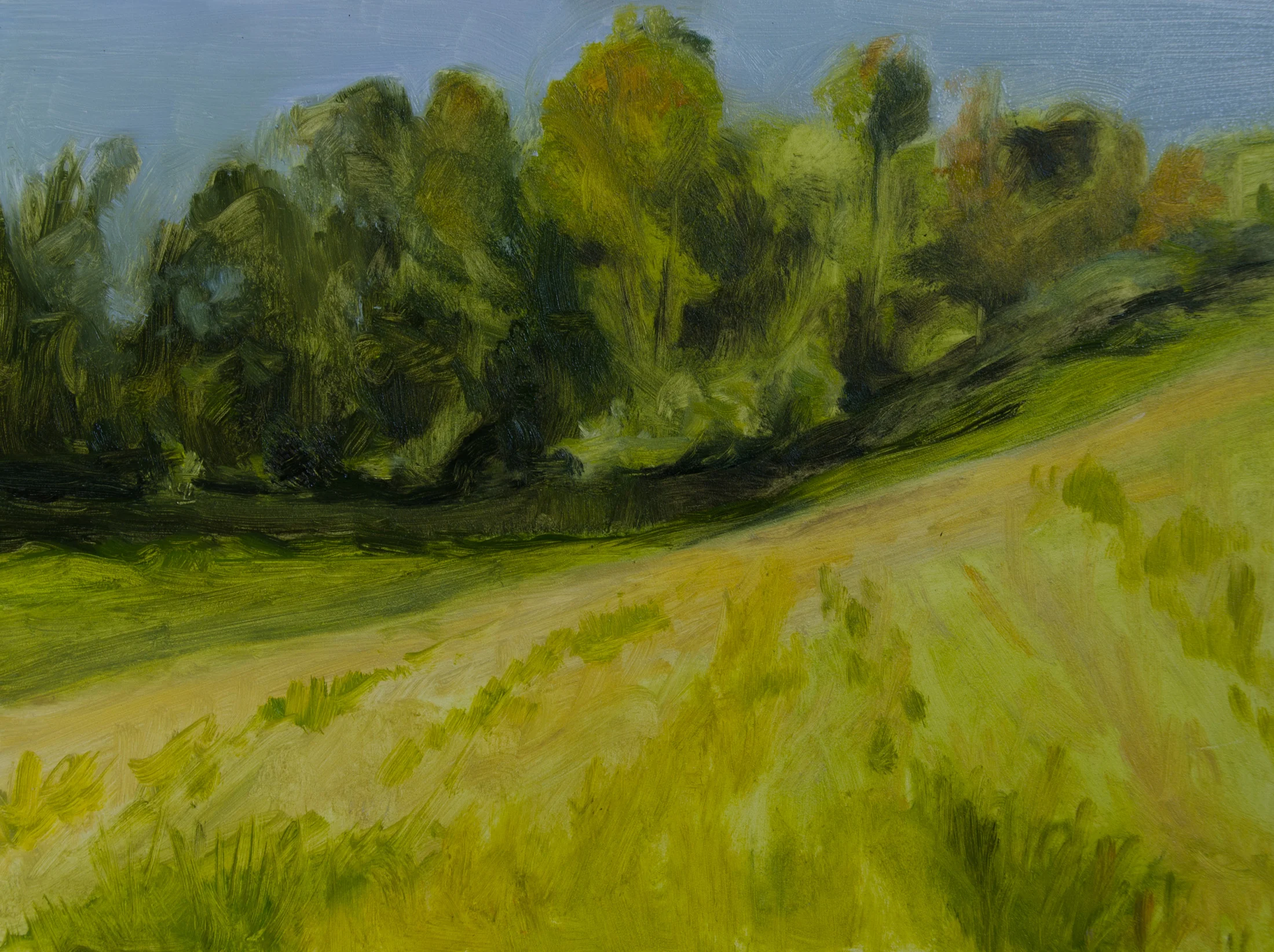 "Sunlit Slope" oil on board, 9x12" October 2015