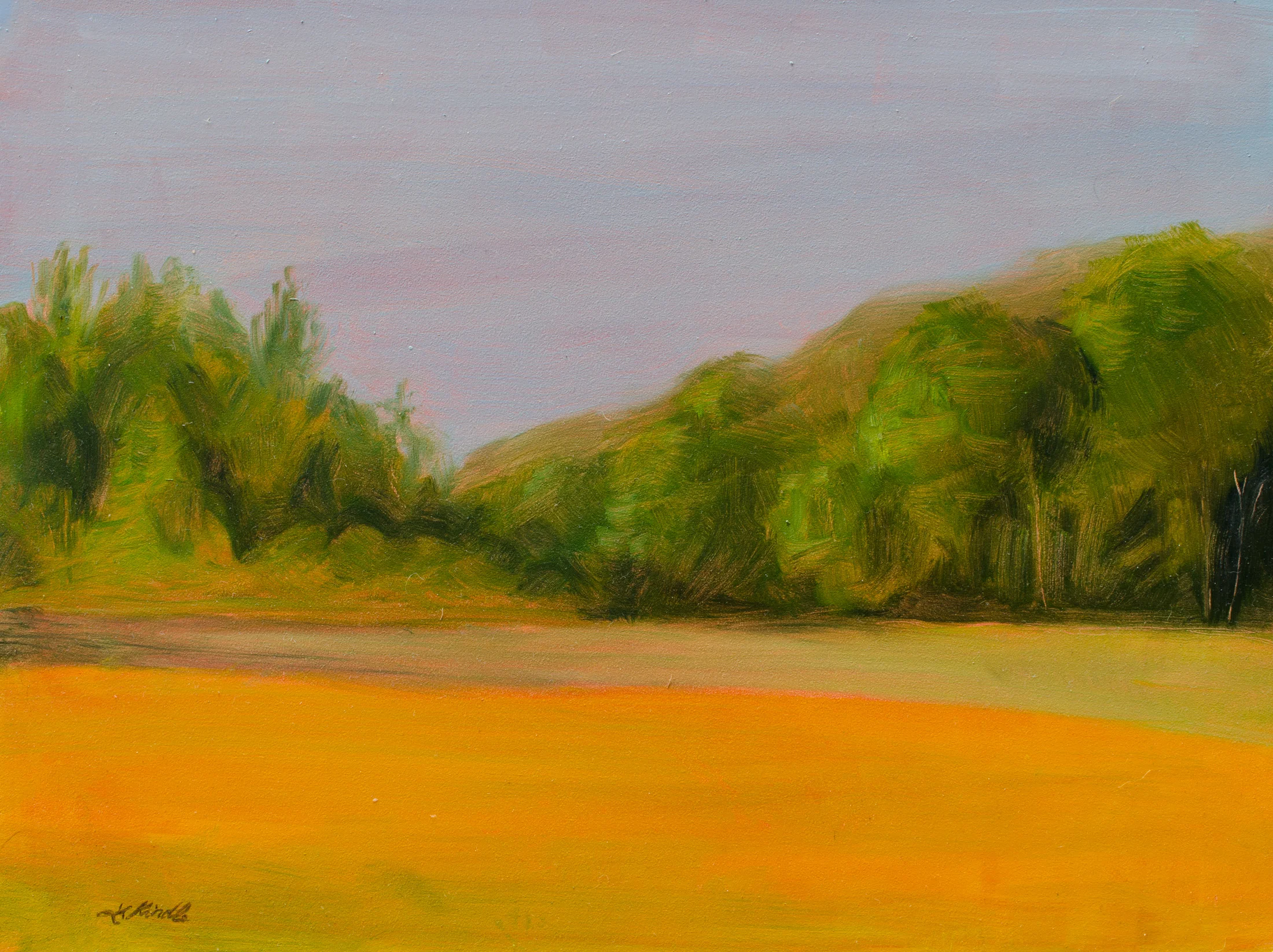 "Coreopsis Field 4" oil on board, 9x12"