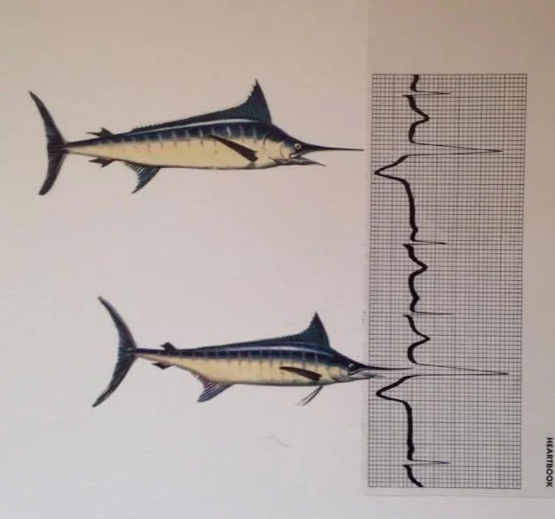 "Beats 2" collage by Rachel Engh