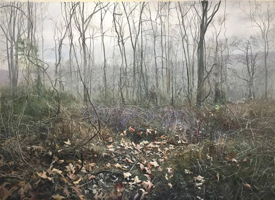 Epochal Violence #6. Oil on canvas. 50x36. 2017, by Sean Mount .