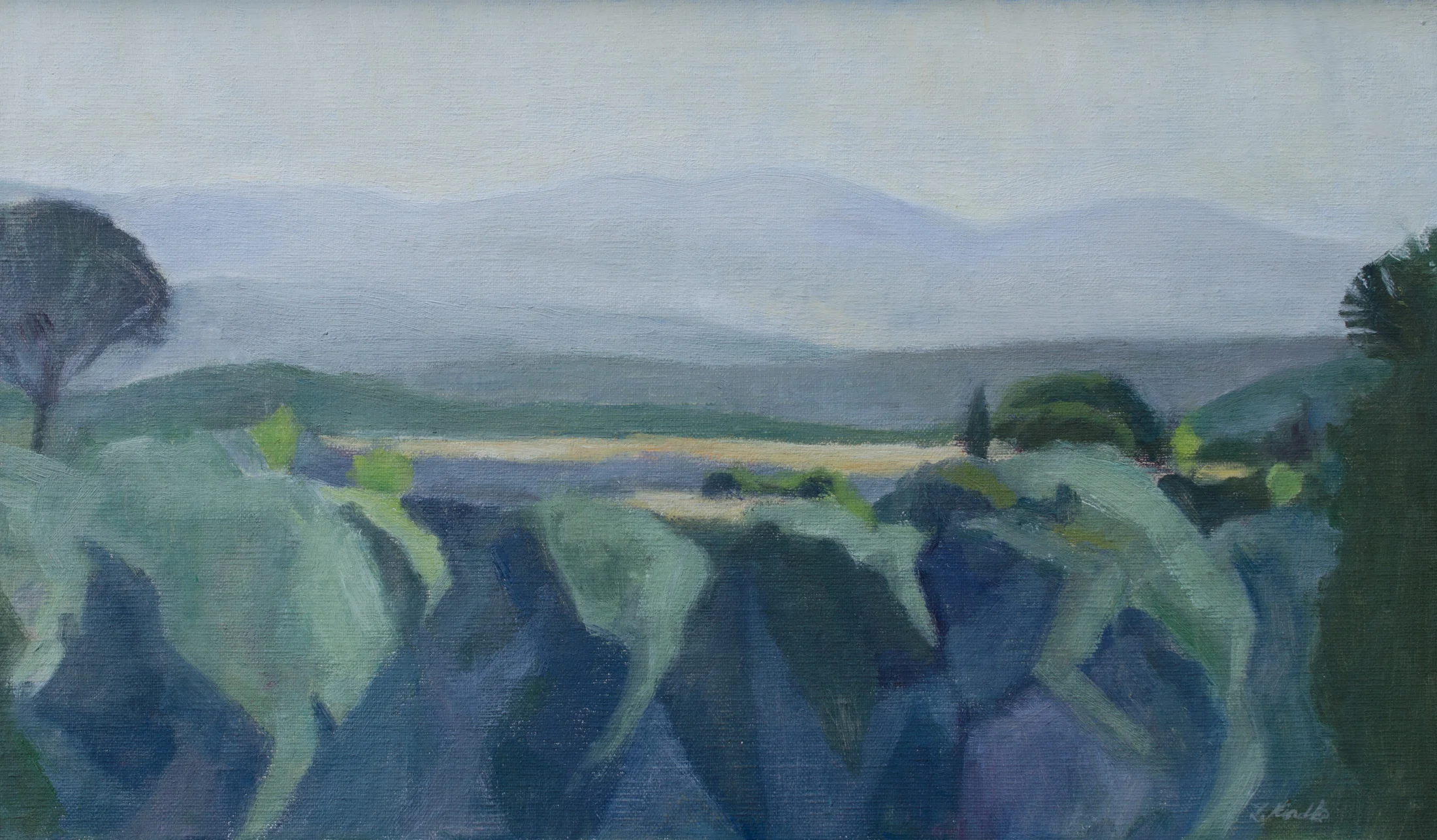 Montagne del Mattino