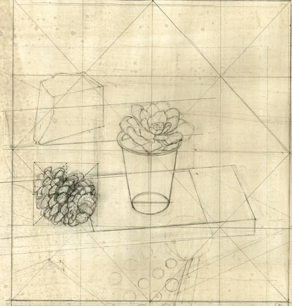 Study for 'Succulent in a White Plastic Cup' 2007 graphite, felt tip pen, and gouache on hand-toned paper Sheet: 16 3/8 x 18 1/4" Image: 13 11/16 x 13 5/8"