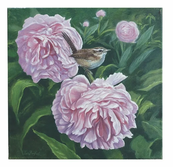  "Wren on Peonies" 12x12"