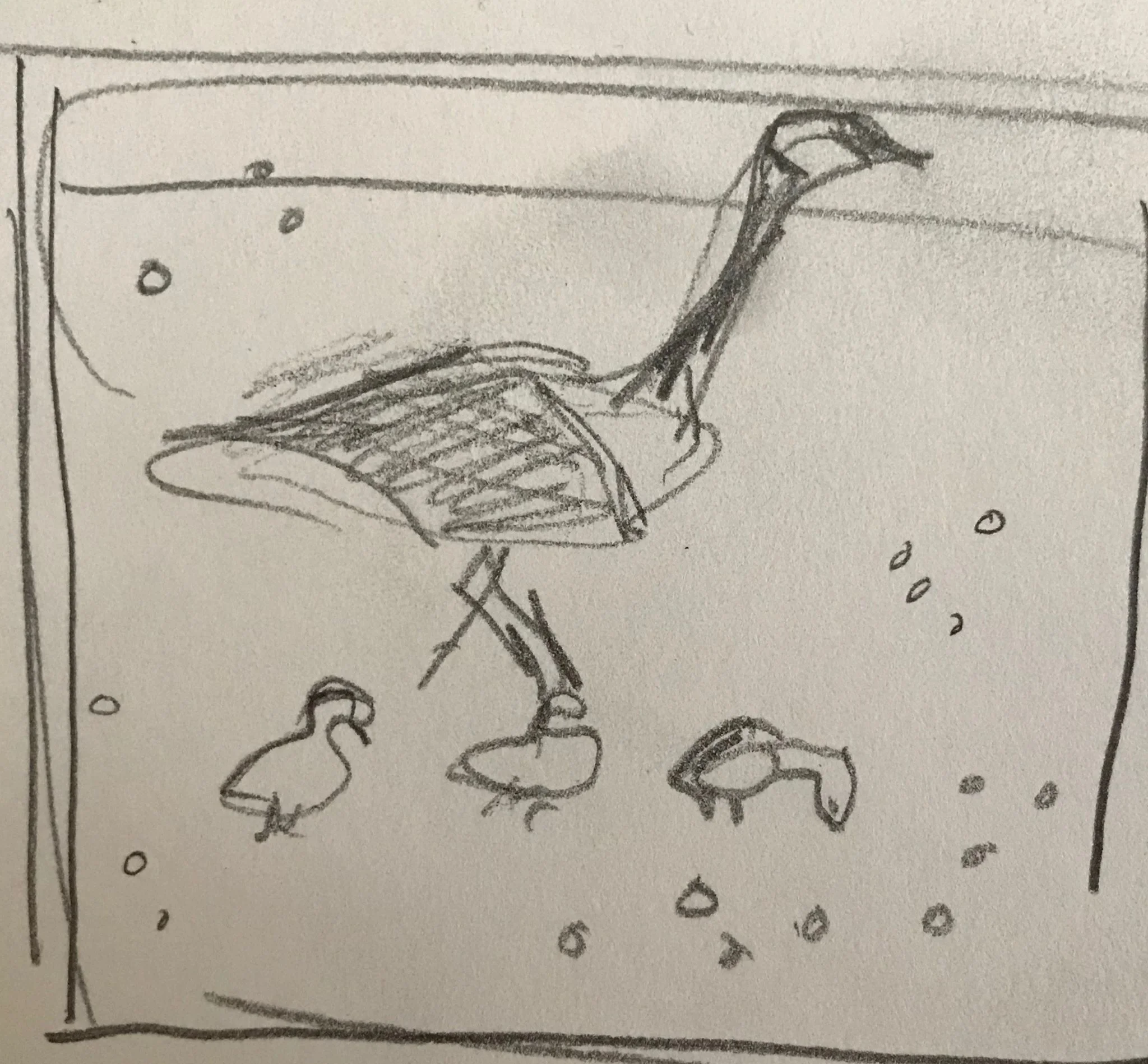 Sketch of a family of geese, pencil on paper, 4x4 inches
